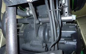 KAWASAKI Z250 SL 2016 BR250E