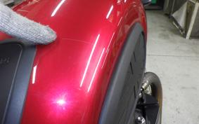 TRIUMPH SPEED TWIN 2024