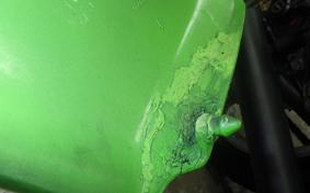 KAWASAKI Z750 GP 2026 KZ750R