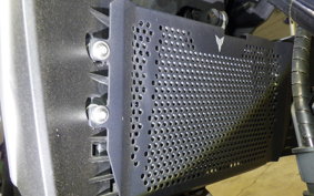 YAMAHA MT-25 2002 RG10J