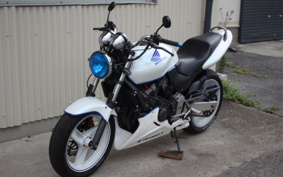 HONDA HORNET 250 MC31