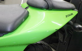 KAWASAKI NINJA 250R 2008 EX250K