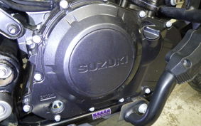 SUZUKI Vｽﾄﾛｰﾑ250A 2024