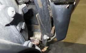 HONDA DIO Gen.6 AF62