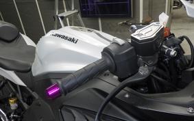 KAWASAKI ZX-4R SE 2024 ZX400P