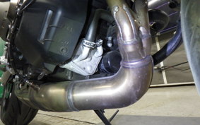 YAMAHA XSR900 GP 2024 RN96J