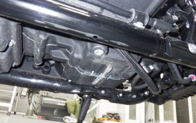 HARLEY FLFB1920 2025