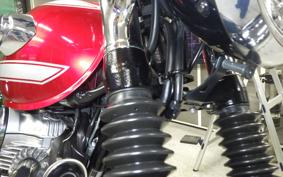 KAWASAKI W800 2022 EJ800E