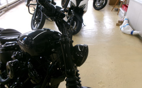 HARLEY FXBB 2019 YJJ