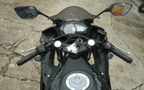 YAMAHA YZF-R25 RG10J