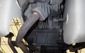 HONDA C90 SUPER CUB 2020 HA02