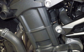 KAWASAKI Z900 Gen.2 2020 ZR900B