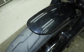 HARLEY XL1200NS 2019