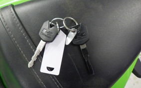 KAWASAKI NINJA 250 2022 EX250L