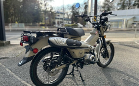 HONDA CT125 HUNTER  CUB  JA55