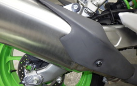 KAWASAKI ZX-4RR 2024 ZX400P