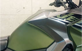 KAWASAKI VERSYS-X 250 LE250D