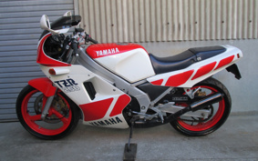 YAMAHA TZR250-1 1KT