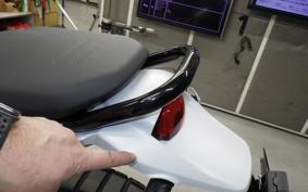 DUCATI DESSERT X 2022