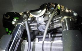 KAWASAKI NINJA 650 A 2025 ER650S