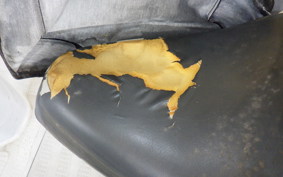 HONDA GYRO CANOPY TA02