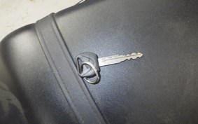 HONDA VTRF250 2024 MC33