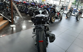 KAWASAKI NINJA 1000 SX 2025 ZXT02K