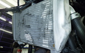 YAMAHA YZF-R25 A RG43J