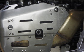 TRIUMPH TIGER 900 RALLY PRO 2022