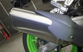 KAWASAKI ZX-4RR 2024 ZX400P