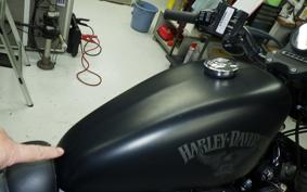 HARLEY XL883N 2017