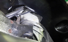 HONDA ZOOMER 2026 AF58