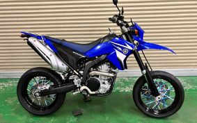 YAMAHA WR250X DG20