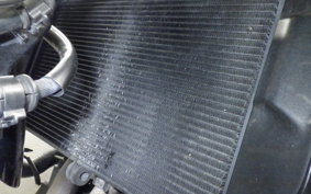 YAMAHA XSR900 2023 RN80J