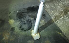 HONDA CRF250 RALLY LD MD44