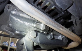 HONDA ZOOMER 2023 AF58