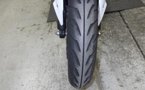 KAWASAKI NINJA 250 EX250L