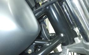 BMW R NINE T SCRAMBLER 2021