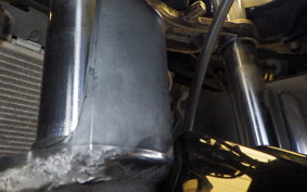 KAWASAKI NINJA 250R EX250K