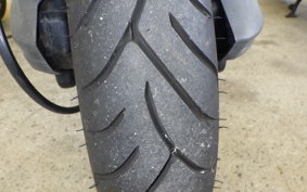 OTHER +UNREGISTERED MODEL by BDS250