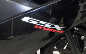 SUZUKI GSX250R 2007