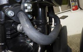 SUZUKI Vｽﾄﾛｰﾑ250A 2019