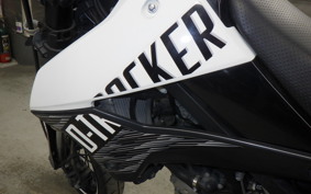 KAWASAKI KLX250D TRACKER X 2023 LX250V