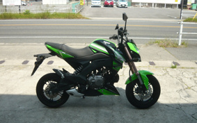 KAWASAKI Z125 PRO BR125H