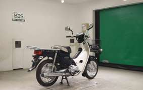 HONDA C110 SUPER CUB 2006 JA10