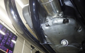 KAWASAKI W800 2018 EJ800A