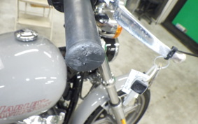 HARLEY FXST1750 2025