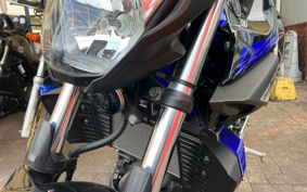 YAMAHA MT-25 RG43J