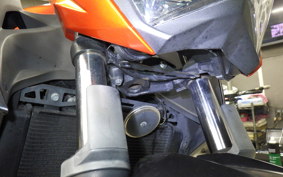 KAWASAKI Z250 2022 ER250C