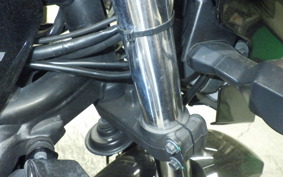 KAWASAKI ZRX1200 D 2015 ZRT20D